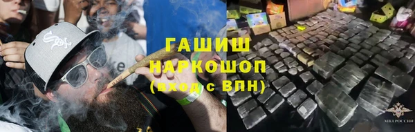 apvp Алзамай