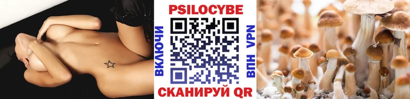 Псилоцибиновые грибы мухоморы  как найти наркотики  Черноголовка 